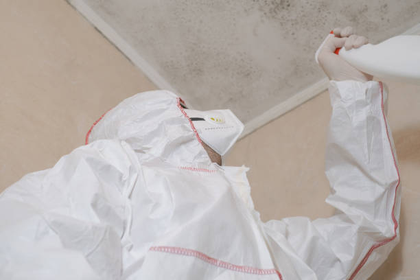 Mold Testing and Removal in Belvidere, IL